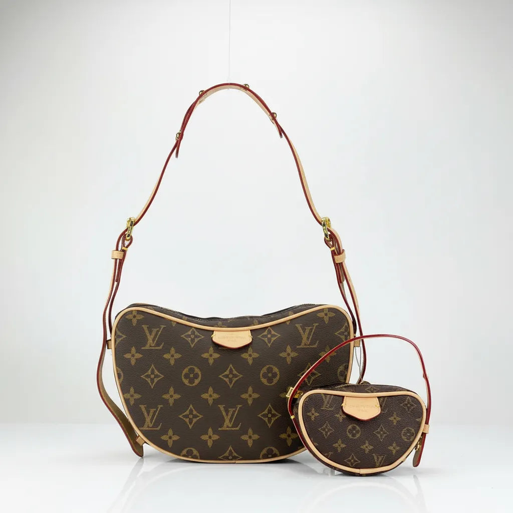 Luxury Monogram Hobo Shoulder Bag Set with Matching Pouch